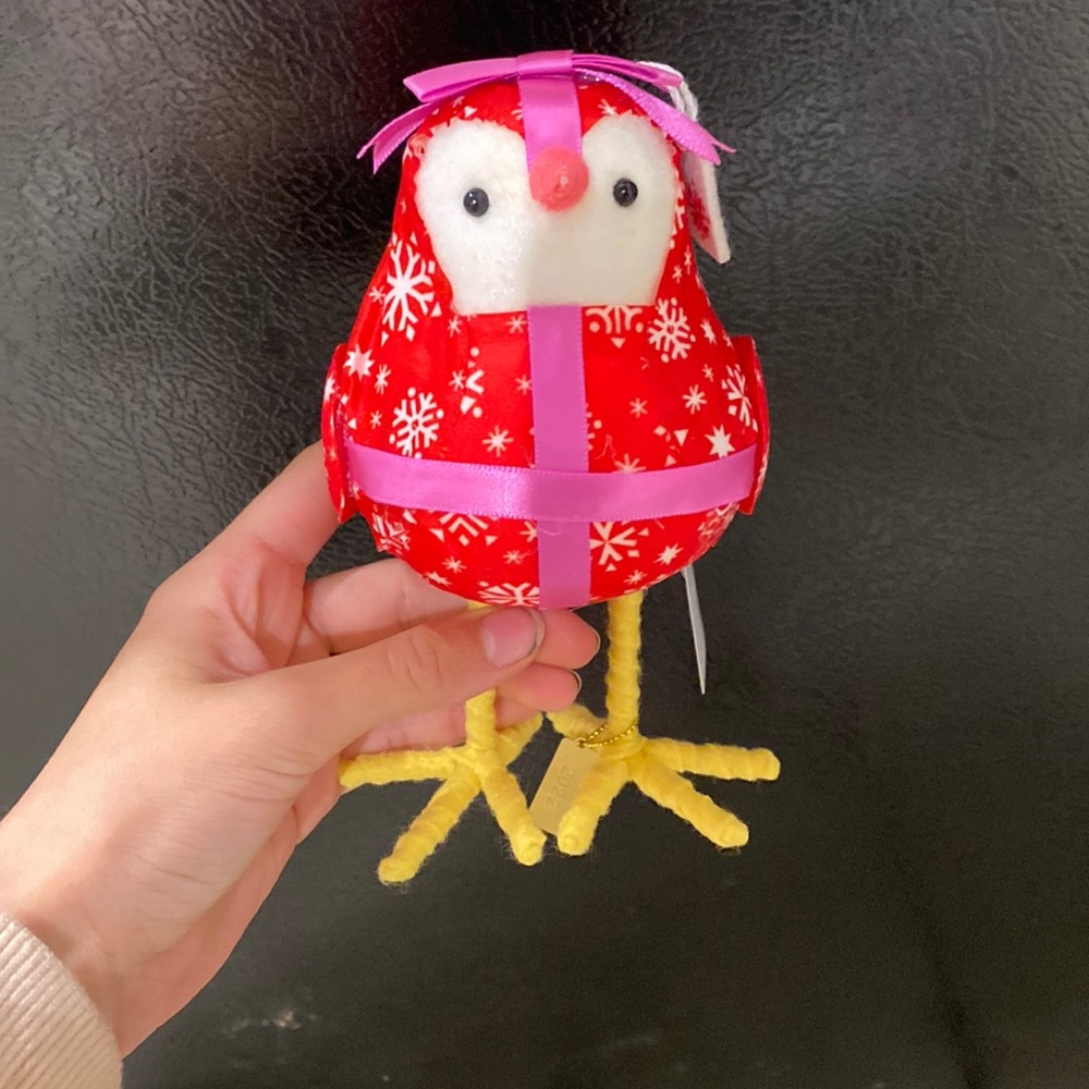 Beautiful feathered friend bow